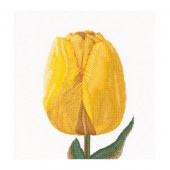 Thea Gouverneur ƥåɽåNo.522 