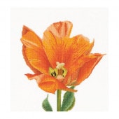 Thea Gouverneur ƥåɽåNo.523 