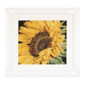 Thea Gouverneur ƥåɽåNo.488 