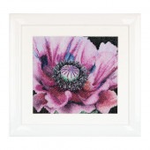 Thea Gouverneur ƥåɽåNo.491 