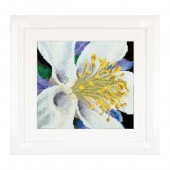 Thea Gouverneur ƥåɽåNo.493 