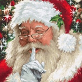 Luca-S ƥåɽå B2398 "Santa" (󥿥) ڳ/Ǽ4080١