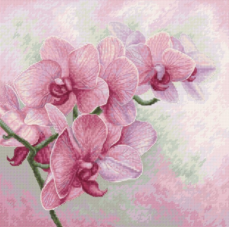 Luca-S ƥåɽå B7009 "Graceful Orchids" (ͥ å) ڳ/Ǽ4080١