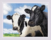 RIOLIS���������ƥå��ɽ����å� No.2237 