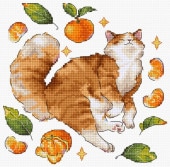 LETISTITCH ƥåɽå L8804 