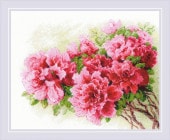 RIOLIS���������ƥå��ɽ����å� No.2258 