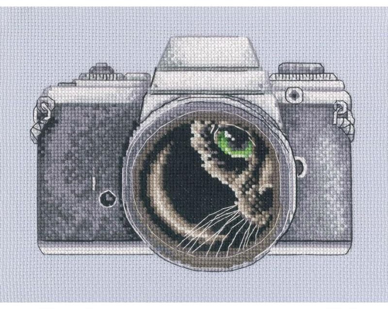 RTO ���������ƥå��ɽ����å� M1037 "Catographer" �ڳ�������/�̾�Ǽ��40��80�����١�