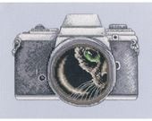 RTO ���������ƥå��ɽ����å� M1037 "Catographer" �ڳ�������/�̾�Ǽ��40��80�����١�