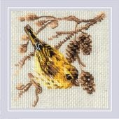 RIOLIS���������ƥå��ɽ����å� No.2329 "Siskin" (�ޥҥ�) �ڳ�������/Ǽ��30��60�����١�
