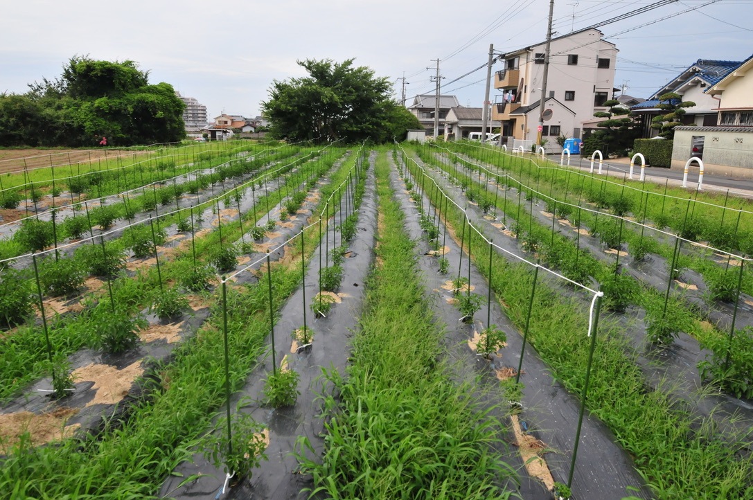 ˾強̣⤬餷