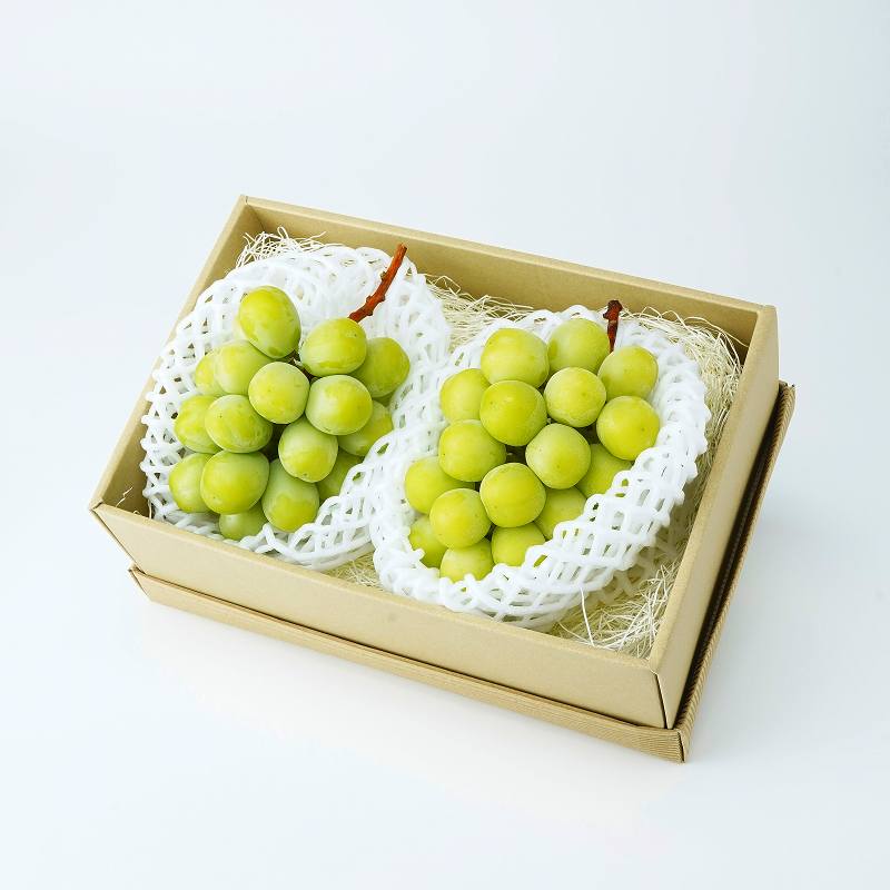 シャインマスカット