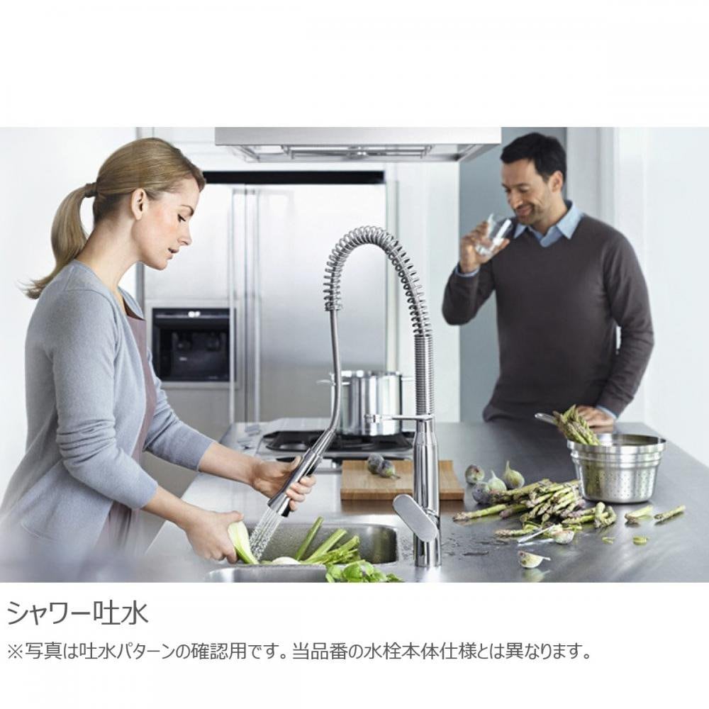 キッチン水栓 一般地用 グローエ製（GROHE）JP301002 シングルレバー