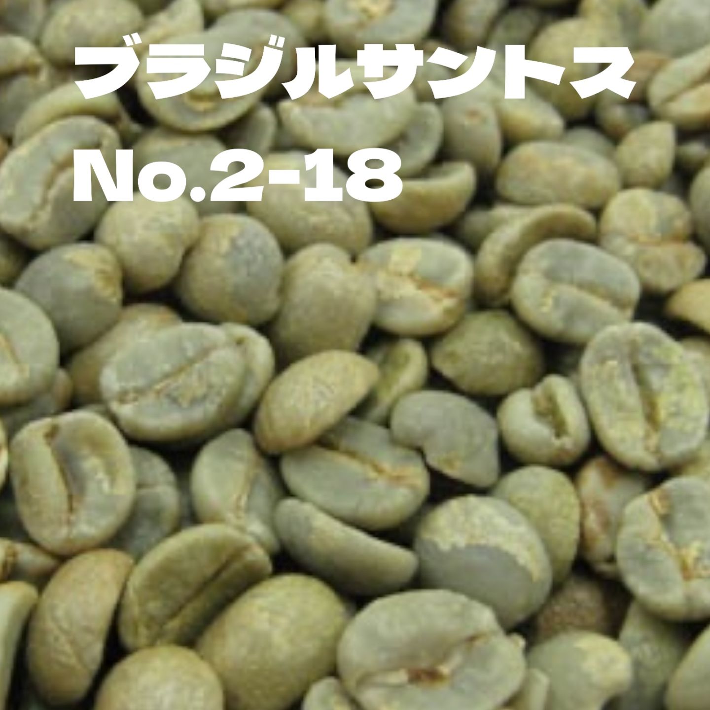 ブラジルサントス No2-18