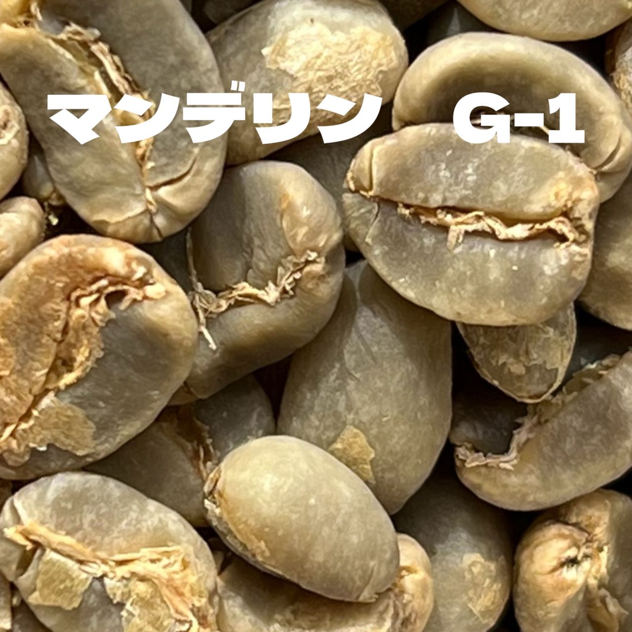 マンデリン　G-1