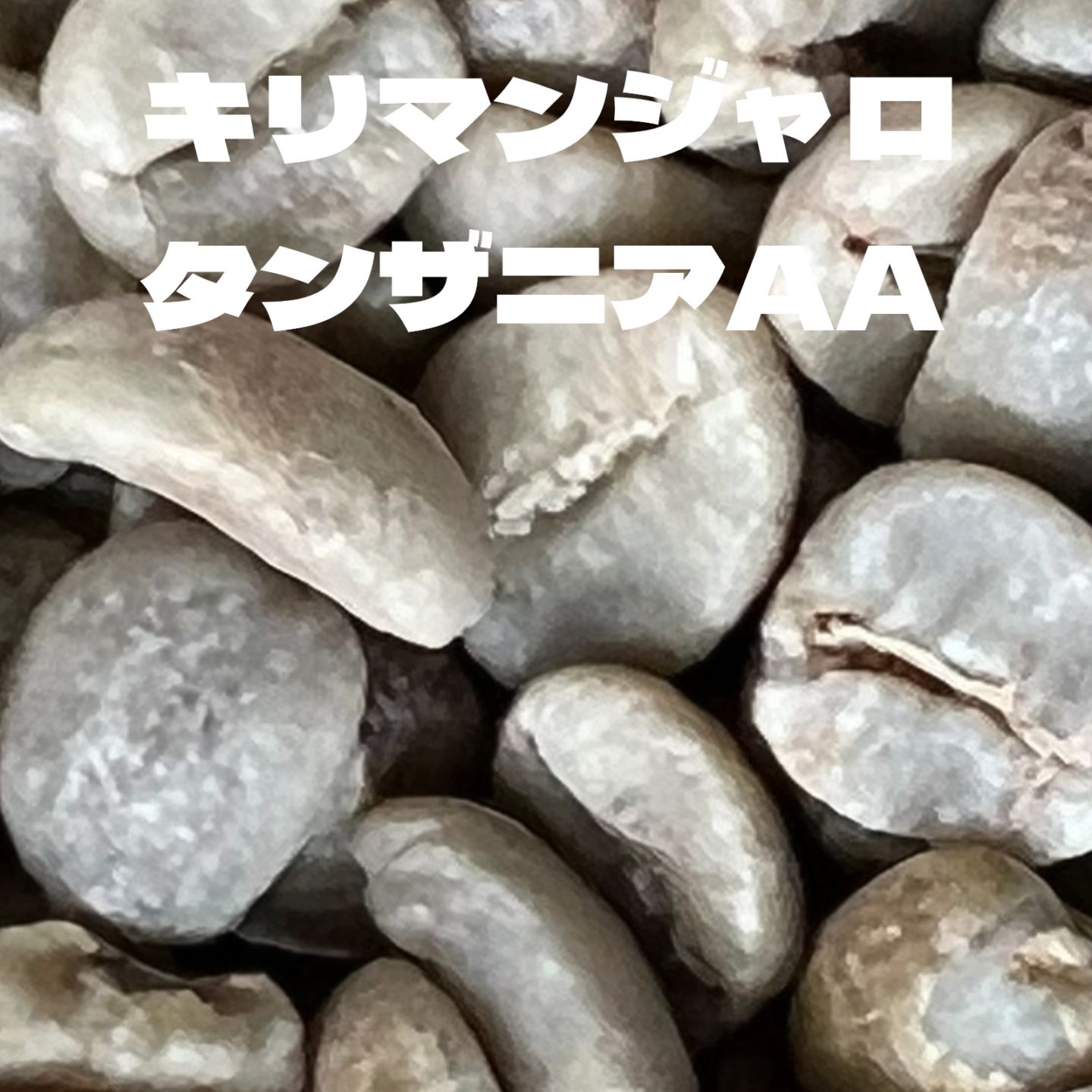 キリマンジャロ≪タンザニア≫AA