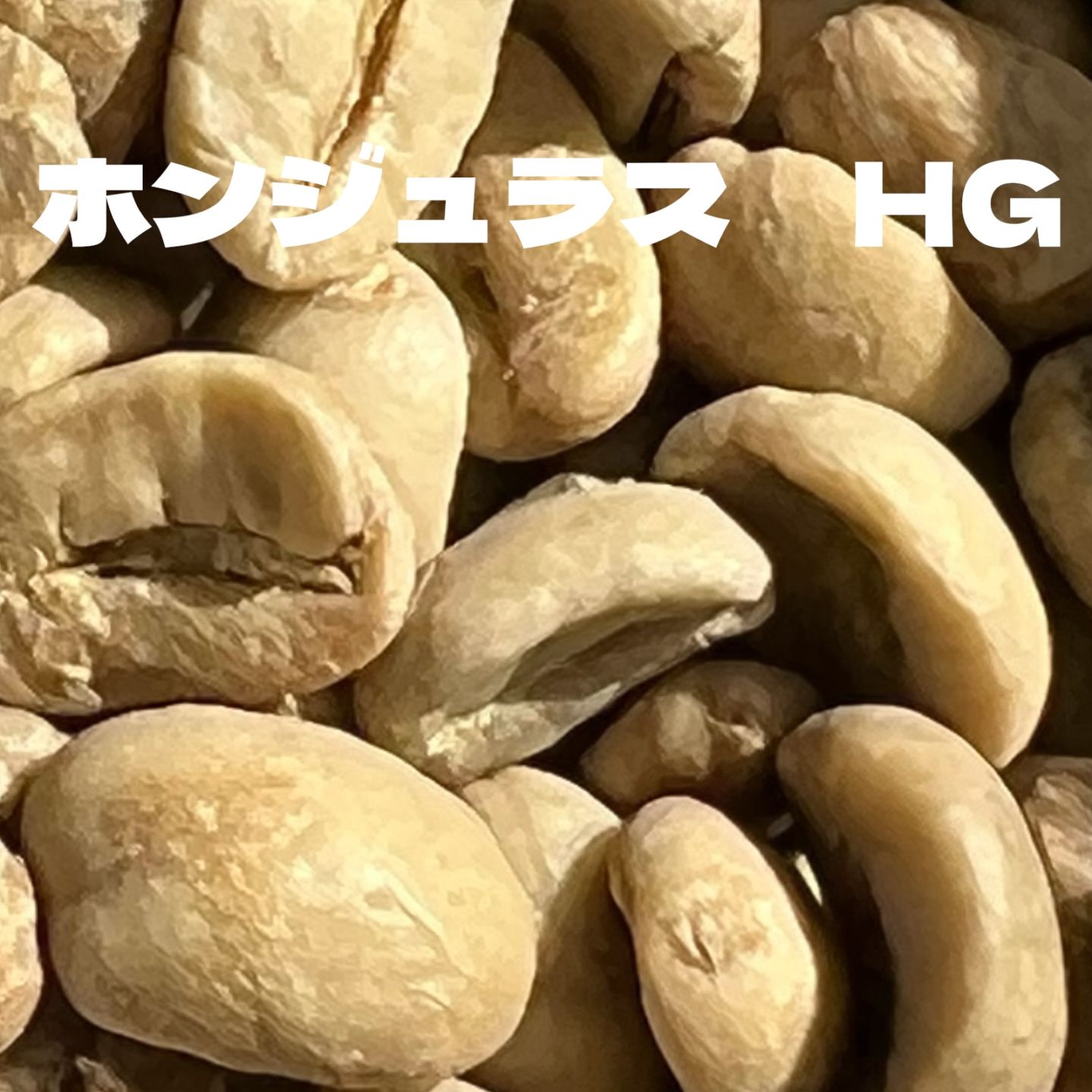 ホンジュラス　HG