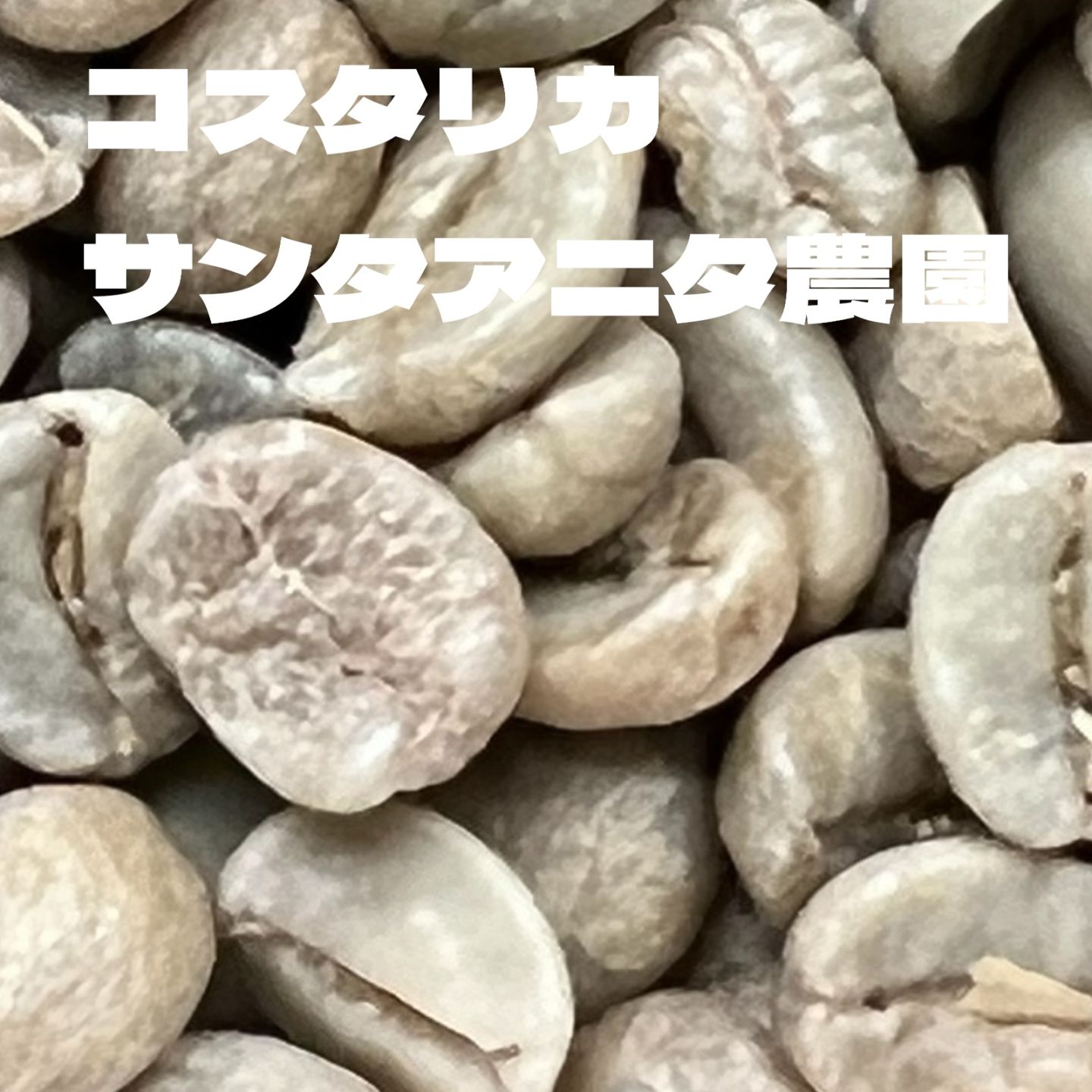 コスタリカサンタアニタ農園