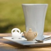 CANASUCۥǥ󥷥奬 åԥ󥰥ƥݥåȡ͢ʡӡ8,800߰ʾ̵!