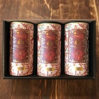  TORRINGTON ۥꥸʥ ƥХå3葉ե 8,800߰ʾ̵!