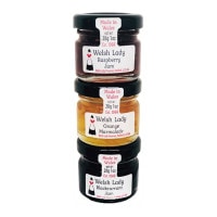 ڥ륷ǥۥߥ˥ॢ 8,800߰ʾ̵!