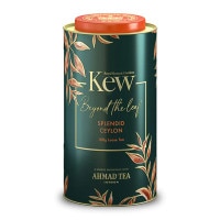 ڥ塼ǥ󥺡ۥ ꡼եƥ 8,800߰ʾ̵!