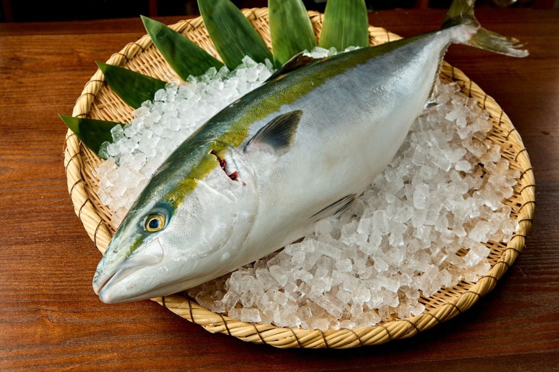 【愛媛県産】養殖ブリ　1本丸々5キロ前後