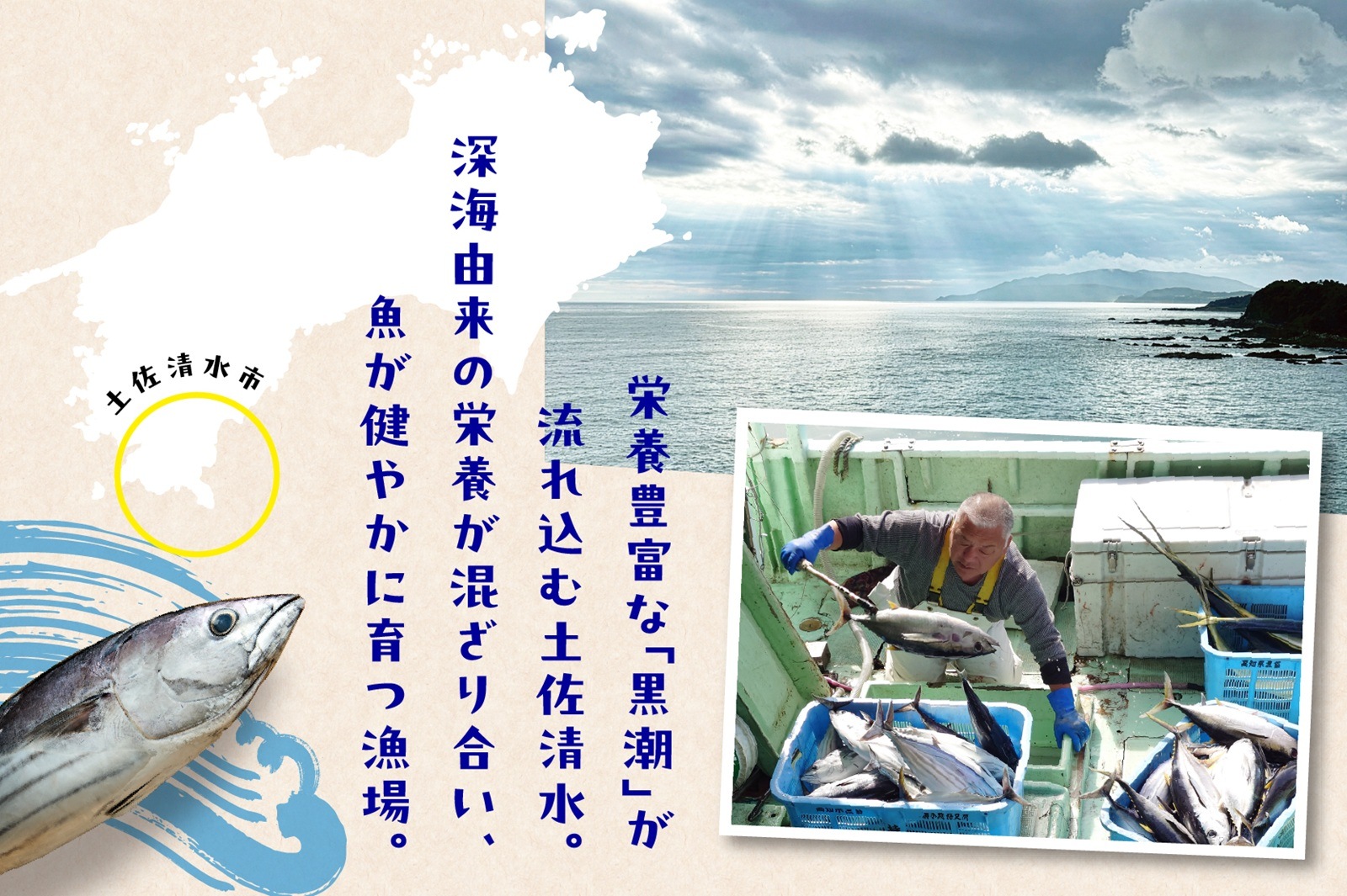【高知県産】冷凍カツオのたたき4本セット