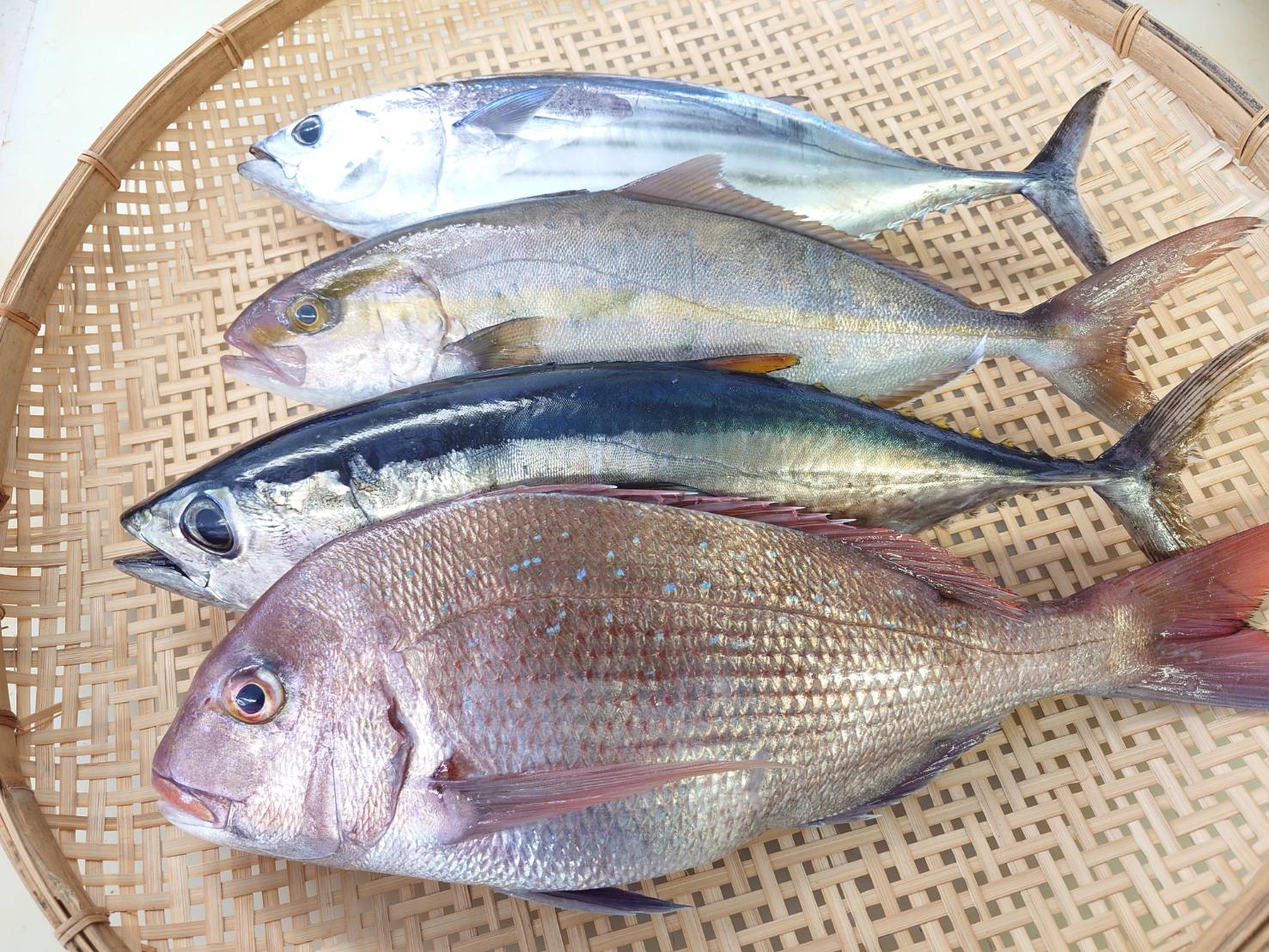 【漁港直送】旬のおすすめ鮮魚セット