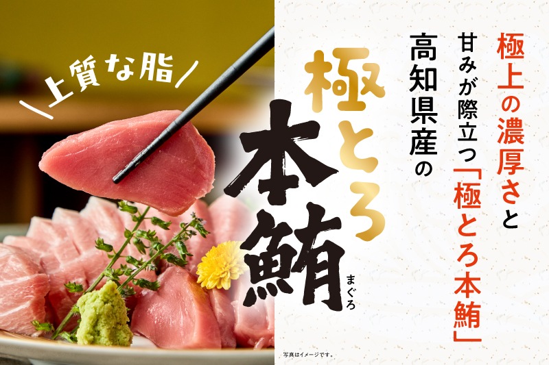 【高知県産】養殖本マグロ赤身（合計約1kg）