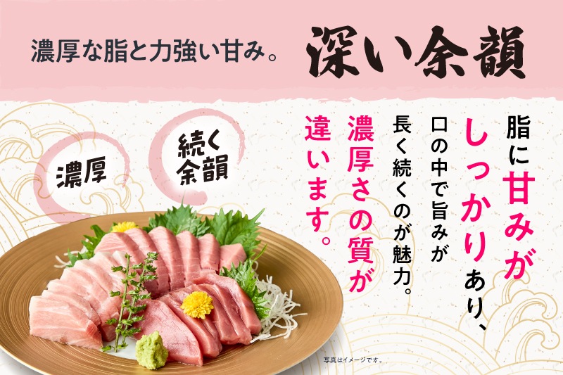【高知県産】養殖本マグロ赤身（合計約1kg）