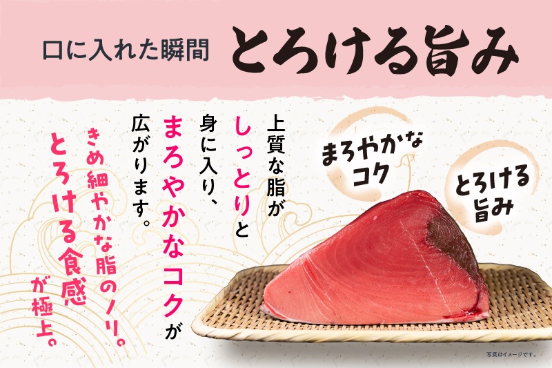 【高知県産】養殖本マグロ大トロ・中トロ食べ比べセット（合計約1kg）