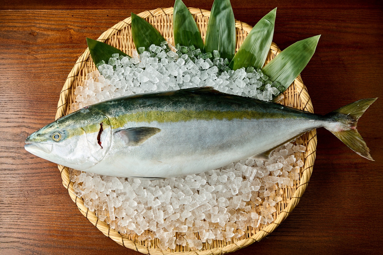 【愛媛県産】養殖ブリ　1本丸々5キロ前後
