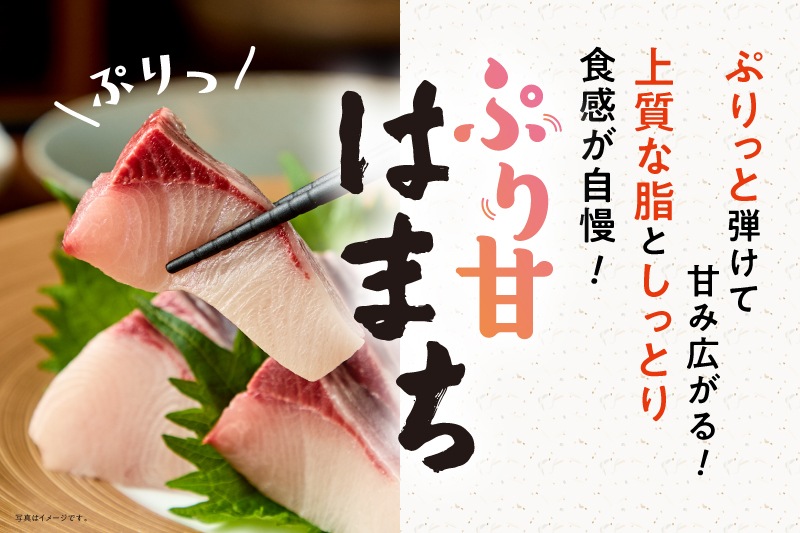 【愛媛県産】養殖ブリ　1本丸々5キロ前後