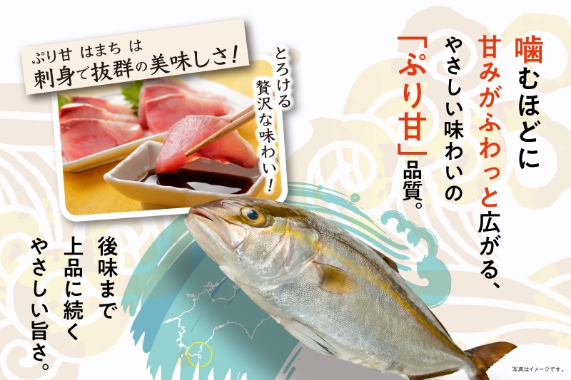 【愛媛県産】養殖ブリ　1本丸々5キロ前後