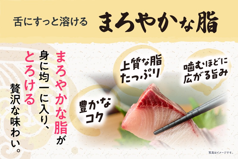 【愛媛県産】養殖ブリ　1本丸々5キロ前後