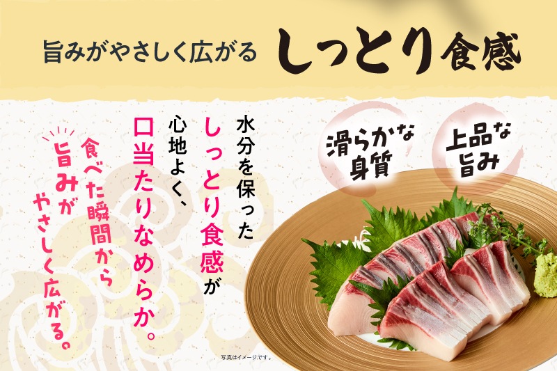【愛媛県産】養殖ブリ　1本丸々5キロ前後