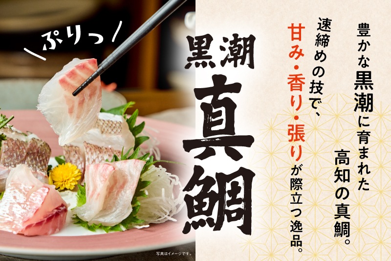 【高知県産】養殖真鯛　1本丸々2キロ前後