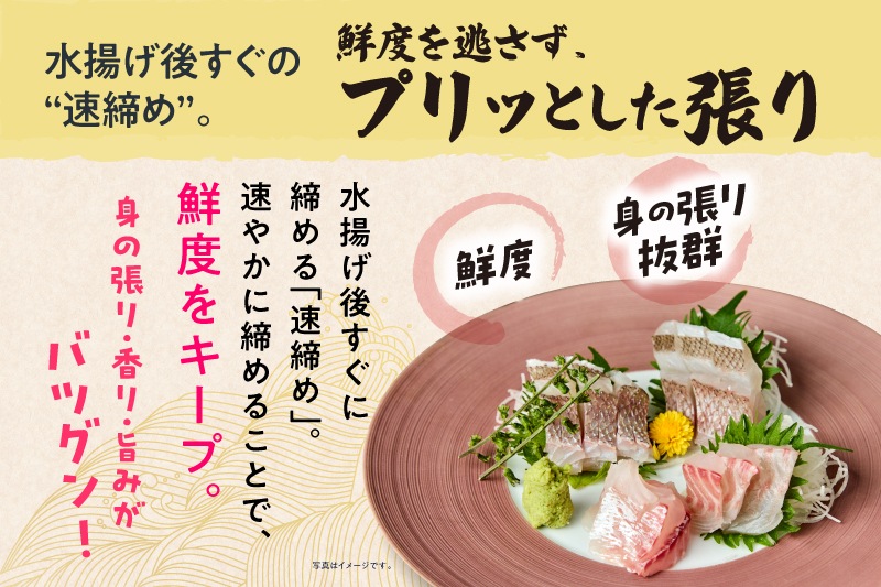 【高知県産】養殖真鯛　1本丸々2キロ前後