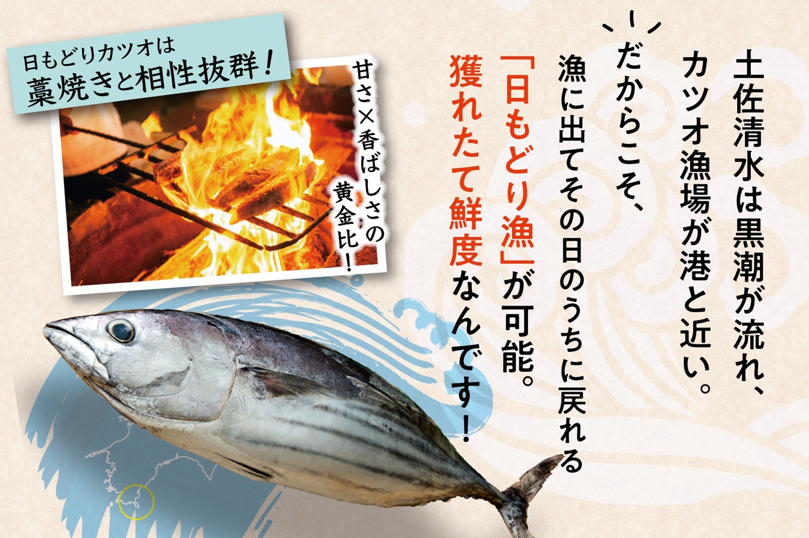 【高知県産】冷凍カツオの生2本・たたき2本セット