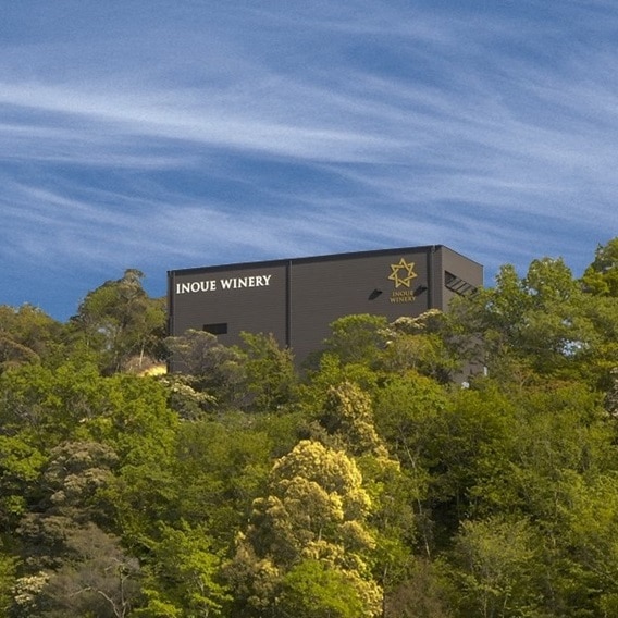 Velato山北シャルドネスパークリング2023[al] | すべての商品 | 井上