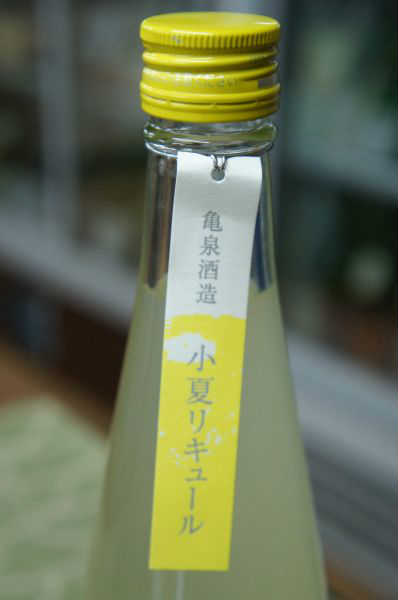 ƥꥭ塼 500ml