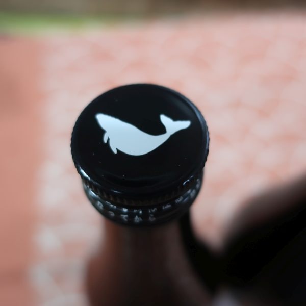 ��� ���̽��� ���ܤꤿ������