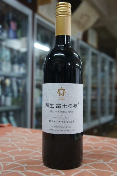 ���֡�2022 �ں��������ƥ����� (�����ٻΤ�̴+)