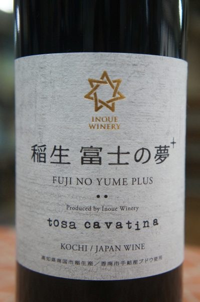 ���֡�2022 �ں��������ƥ����� (�����ٻΤ�̴+)