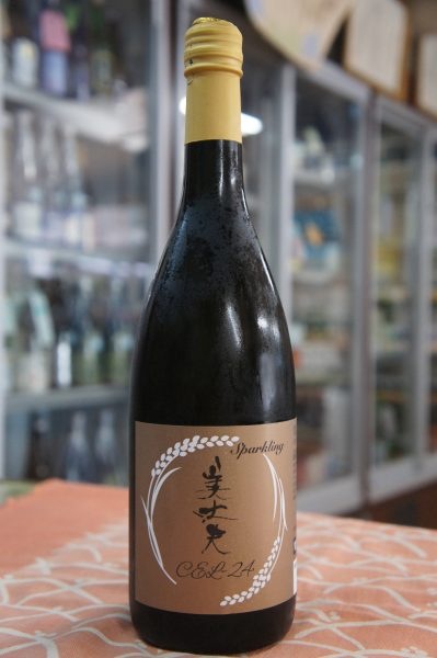 ������ ���ƶ�� CEL-24 ���ѡ������