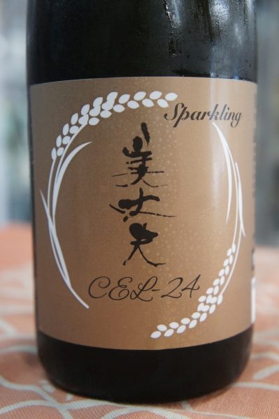 ������ ���ƶ�� CEL-24 ���ѡ������