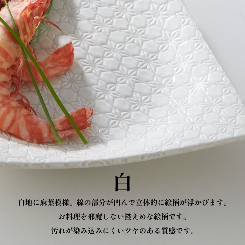 市蔵 白ミツワ7.5寸めん皿 画像5