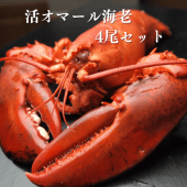 【活】 活オマール海老 500g 4尾セット