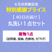 A40Ϥۣ˵ǰ(Υߡ) ʪ꡼˥󥰡