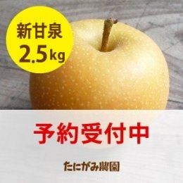 新甘泉」(しんかんせん)2.5キロ(5～9玉)※数量限定 たにがみ農園